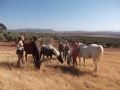 group-pic-with-horses-on-hill-jpg